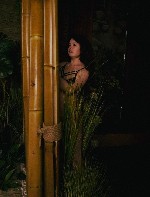 Интим-девушки, индивидуалки объявление но. 3908928: Возьму твой член в ротик !!!