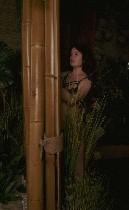 Интим-девушки, индивидуалки объявление но. 3908456: Трахнемся по взрослому !!!