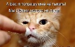 Девушка, ищу парня объявление но. 4300139: Тет-а-тет на гражданке 8-952-213-60-94