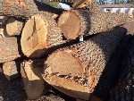 Строительство, ремонт объявление но. 4353190: Пиломатериал,  кругляк щит,  паркет,  шпон,  слэбы из дуба,  бука,  ясеня,  карагача,  клена,  акации,  липы.