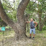 Парень, ищу девушку объявление но. 4256884: интим на природе