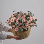 Разное объявление но. 3602572: Пионовидные розы