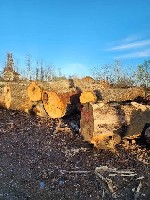 Производитель предлагает пиломатериалы,  кругляк,  лафет,  брус из твердых пород Краснодарского края:  дуб,  бук,  акация Робиния.  акация Глядичия,  ясень,  карагач.  
Доска 25/32/52х160-500х2000-40 ...