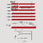 Обзор:  
 Полностью цифровая бесконтактная инфракрасная автоматическая система резки по длине,  разработанная Wuhan Zhongfeiyang Measurement and Control Engineering Co.  ,  Ltd.  ,  является первой о ...