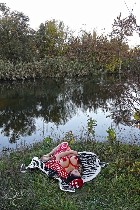 пиши мне на вацап или в телеграмм 89175867366 Покажу свои домашние видео ...