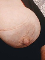 Интим-девушки, индивидуалки объявление но. 3430237: Виртуальное общение с сисястой тётей!!!!