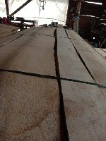 Строительные материалы объявление но. 3559944: Дуб,  ясень,  карагач,  акация,  доска,  брус оптом.