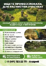 Выполним РАСЧИСТКУ УЧАСТКА:  сезонную,  подготовительную,  перед застройкой,  продажей от любого вида захламлений.  СПИЛ деревьев,  корчевание.  

Мы - крепкая и сплоченная команда готовых выполнить ...