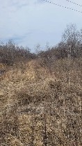 Продам участок объявление но. 4375142: Продается земельный участок в Надеждинском районе п.  Алексеевка