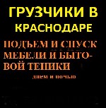 Группа адекватных,  трезвых,  опытных,  аккуратных и физически подготовленных мужчин осуществляют следующие виды услуг:  
- погрузка-разгрузка любого вида груза;  
- квартирные переезды:  
- дачные ...