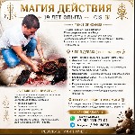 Услуги объявление но. 4414984: Гадалки в Хабаровске — Контакты и отзывы