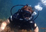 Мечтали увидеть подводный мир Чёрного моря? Хотите попробовать дайвинг впервые или пройти полноценное обучение? Приглашаем в профессиональную школу дайвинга в Феодосии!
Школа дайвинга в Феодосии — эт ...