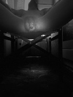 Общение по интересам объявление но. 4402618: Минет