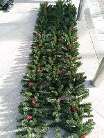 "Ёлочная ветка (хвоя)
С ягодами и шишками
Очень густая и насыщенного зелёного цвета.  

Длина :  2.7 метра

Цена:  225 тысяч

Доставка по Ташкенту бесплатно,  областям по договоренности.  " ...