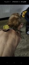 Ищу ж которая любят подчинение,  принуждение,  чмор,  ошейник.  Адекватно,  с пониманием.  Место нейтральное,  табу обсудим ...