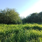 Продам участок объявление но. 4229886: Участок 5.96 сотки Покровская Гатчина — 1 490 000 руб.  — газ и свет по границе