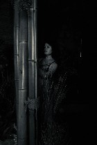 Интим-девушки, индивидуалки объявление но. 3898252: Приезжай и возьми меня !!!