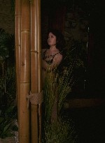 Интим-девушки, индивидуалки объявление но. 3906893: Трахну как в последний раз !!!