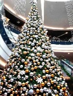 Разное объявление но. 3373845: Большая ёлка,  президентская ёлка от производителя,  от 5 м до 30 метров