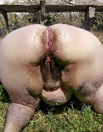 Парень, ищу девушку объявление но. 4162617: Ищу толстую корову