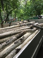 Разное объявление но. 4195893: Скупка металлолома,  вывоз,  демонтаж любой сложности