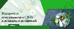 Разное объявление но. 3285881: Официальный магазин масел CBD