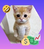 онлайн-платформа,  ориентированная на обмен мемами и короткими юмористическими изображениями набирает пользователей для размещения мемов и заработка на них.  
Сайт позволяет пользователям просматрива ...