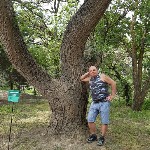 Парень, ищу девушку объявление но. 4283984: Интим на природе.