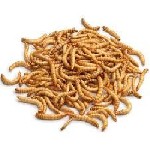 Кормовые насекомые стрижей и других насекомоядных птиц,  ласточек,  соек,  синиц,  дятлов,  также для ёжиков,  ящериц и др.  животных.  

Живые и замороженные кормовые насекомые.  

Мраморные тара ...