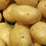 Продукты питания объявление но. 4396633: Продажа средне- и позднеспелых сортов овощей в августе