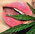 Раосооссососотстссс ссслчоыоо ...