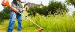 Уборка объявление но. 4347545: Покос травы