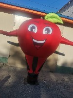 Разное объявление но. 3859128: Надувная фигура Фрукты