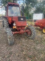 Трактор ЛТЗ-55 на полном ходу.  
Есть телега ПТС-2 за отдельную плату,  косилка,  пресс WELGER AP 41,  грабли,  плуг.  
Обмен на сельхоз.  животных.  
Мощность двигателя:  50 л.  с.  
Объем двигат ...