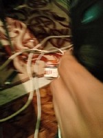 Интим-девушки, индивидуалки объявление но. 3475644: Лера