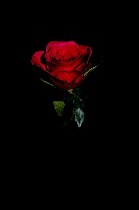 Разное объявление но. 4091263: Мужчина 30 лет