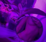 Интересуют только реальные встречи,  основанные на взаимном
желании встреч,  не люблю грубых мужчин,  ищу интим. ...