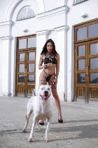 Интим-девушки, индивидуалки объявление но. 4327495: Анжела 74951855689☑️✅✴️ Мысли неприличные,  а взгляд такой невинный.  .  .  Оценишь? 😇🔥
