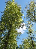 Эротический массаж объявление но. 3139160: Массаж общий