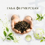 Продукты питания объявление но. 4437601: Китайский чай (улун,  пуэр,  габа) в Челябинске