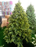 "Ёлка Хакки 3

С механизмом откидывания ,  легко сборке.  

полностью гелиевая.  

120 см - 885 тысяч
150 см - 1.190 тысяч
180 см - 1.820 тысяч
210 см - 2.270 тысяч
240 см - 3.340 тысяч
300 ...