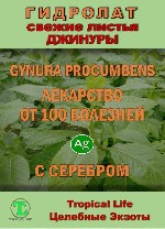 «Tropical life — Целебные экзоты»:  продукция из тропических культур
Мы занимаемся выращиванием нетрадиционных для России тропических растений с целебными свойствами.  На основе собственного сырья со ...
