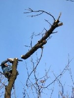 Уборка объявление но. 4283185: Демонтаж домов,  зданий,  сооружений.  Вывоз мусора с объектов.