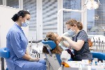 В нашей стоматологии работают высококлассные специалисты.  
Мы предоставляем полный спектр стоматологических услуг.  
Мы проводим как профилактические процедуры направленные против возникновения так ...