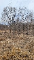 Продам участок объявление но. 4375142: Продается земельный участок в Надеждинском районе п.  Алексеевка