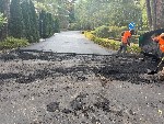 Строительные услуги объявление но. 4395439: Асфальтирование дорог,  парковок,  дворов.  Скидка от 1500 м2.