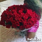 Девушка, ищу парня объявление но. 3520576: Легкие знакомства-весенние забавы