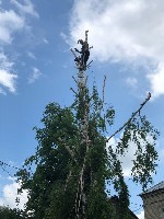 Выполняем все виды строительных работ:  

- Высотные работы любой сложности 
- Спил аварийных деревьев 
- Демонтаж различных сооружений 
* Бетонные работы;  
* Кладка любой сложности (кирпич,  б ...