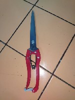 Разное объявление но. 4242190: ножницы для стрижки овец и собак