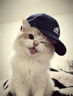 Парень, ищу девушку объявление но. 4446111: Только реальные встречи